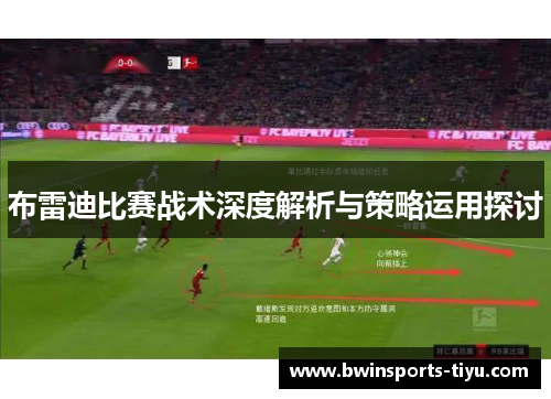 布雷迪比赛战术深度解析与策略运用探讨