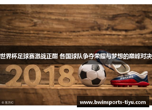 世界杯足球赛激战正酣 各国球队争夺荣耀与梦想的巅峰对决