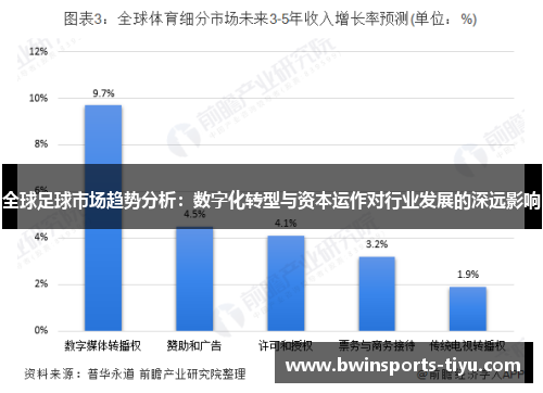 全球足球市场趋势分析：数字化转型与资本运作对行业发展的深远影响