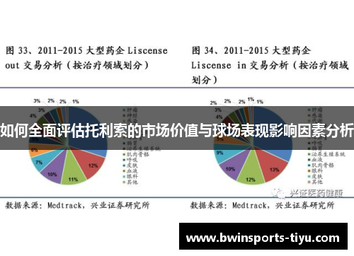 如何全面评估托利索的市场价值与球场表现影响因素分析