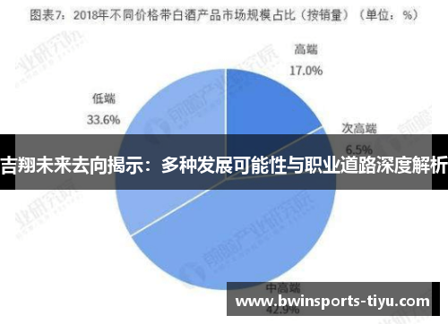 吉翔未来去向揭示：多种发展可能性与职业道路深度解析