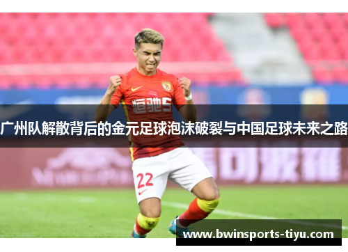 广州队解散背后的金元足球泡沫破裂与中国足球未来之路