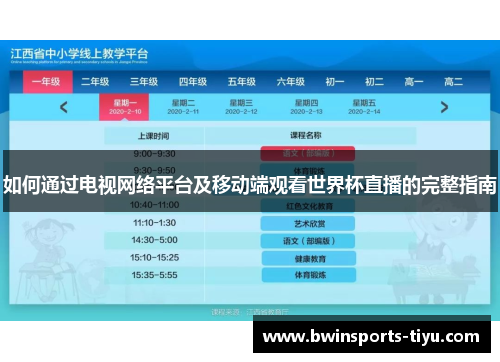 如何通过电视网络平台及移动端观看世界杯直播的完整指南